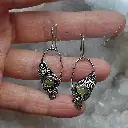 IMG_20261020_160038.webp